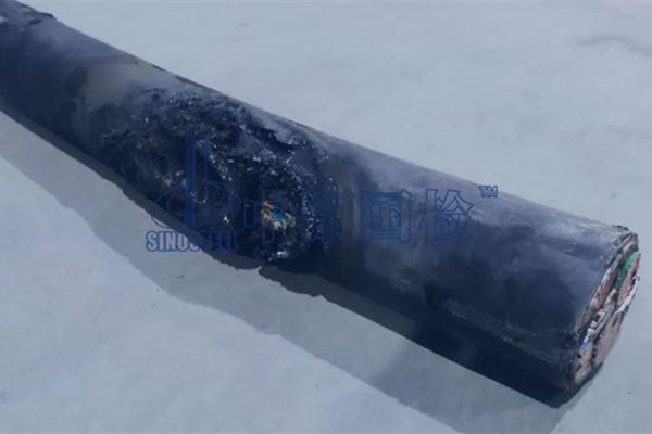 單根絕緣電線電纜垂直燃燒試驗